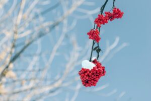 Read more about the article 클러스터용인경남아너스빌모델하우스, 방문 필수 포인트